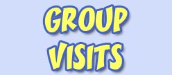 Group Visits